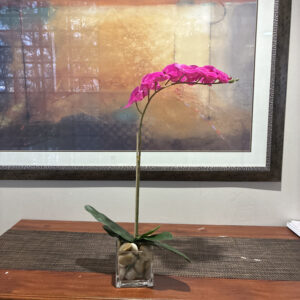 Fresh Orchids 兰花 Pink 1 Stem